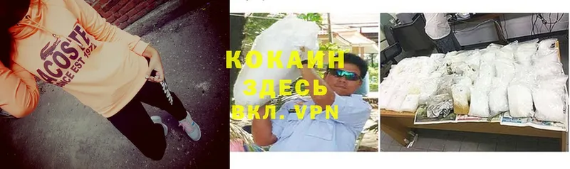 как найти закладки  Канск  Cocaine Fish Scale 